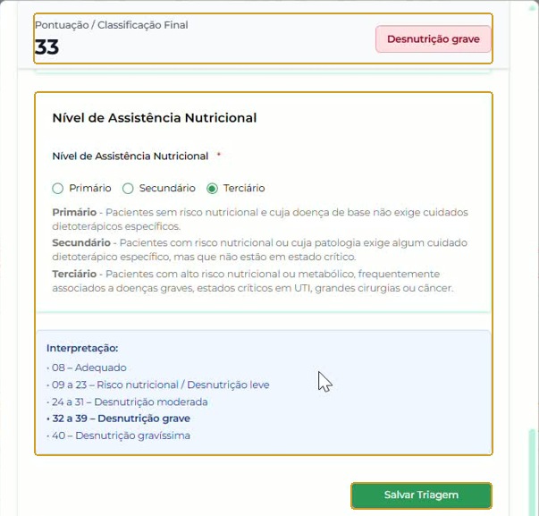 Resultado demonstrativo de 33 — Desnutrição grave, nível Terciário e quadro Interpretação.