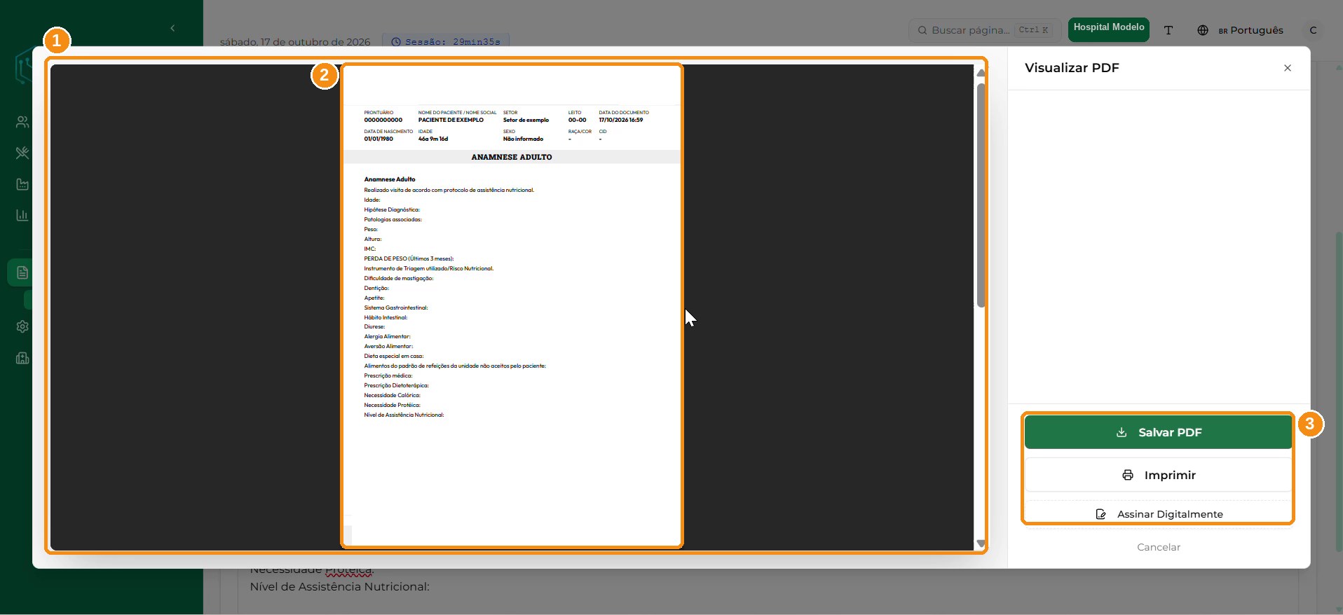 Janela Visualizar PDF.